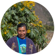 Julia Carbajal Canal