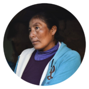 Bertha Quin Ugarte